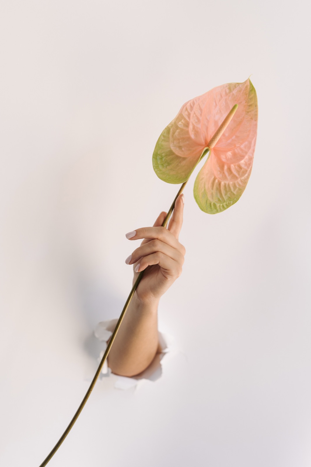 Pure Exposure — breaking through paper